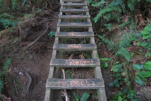 Ladder Inspiration